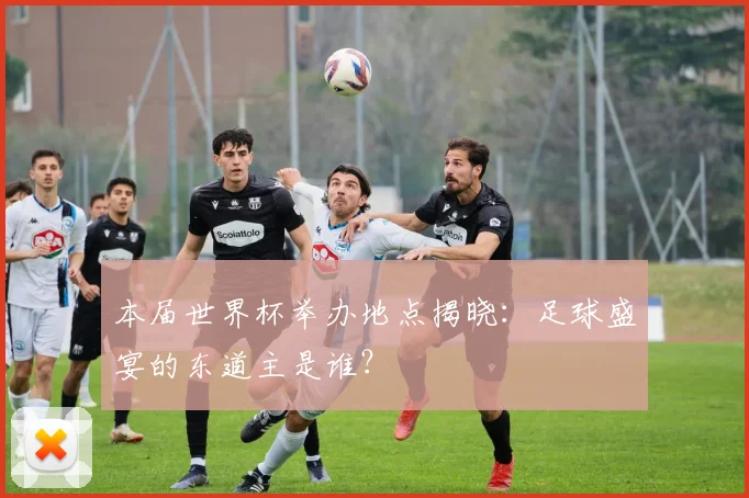 本届世界杯举办地点揭晓：足球盛宴的东道主是谁？